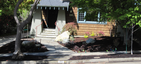 Albany Front Yard
