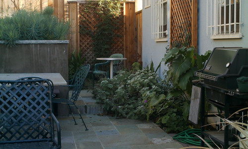 Grand Lake, Oakland Backyard