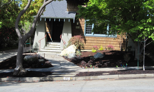 Albany Front Yard